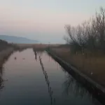 Nora شقة Balatonfůzfő